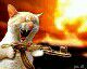 WarHawk_AVG